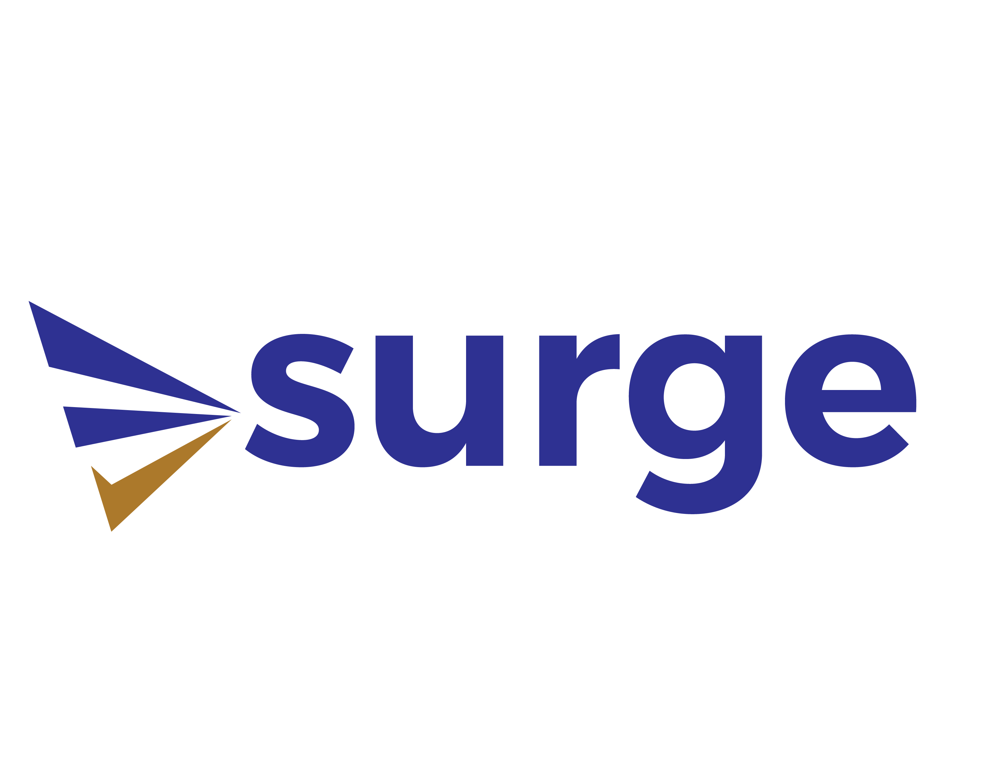 Surge Academy